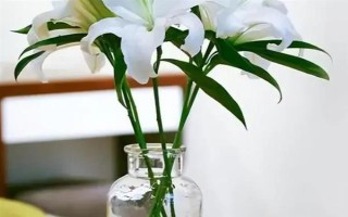 夏天怎樣讓鮮花保鮮時間長一點，將鮮花養(yǎng)護在通風陰涼的地方