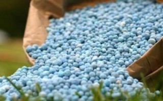 氮元素是什么肥料，通常是一種氮肥
