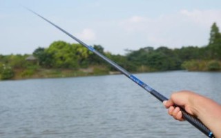 中通竿簡介，是一種手海兩用竿