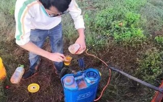 打了除草劑的地塊多久能種白菜，大概需要間隔5-7天左右