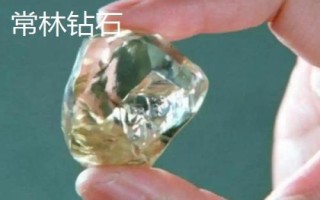 山東省金鄉(xiāng)縣的特產(chǎn)，胡集白梨瓜走俏全國(guó)