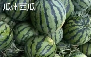 甘肅省酒泉市的特產(chǎn)水果，包括瓜州蜜瓜、瓜州西瓜等種類