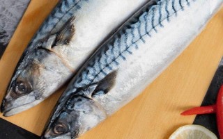 青花魚是鲅魚嗎，二者是不同的兩種魚