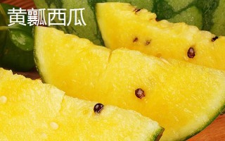 黃瓤西瓜是不是轉(zhuǎn)基因食品，是臺灣引進的稀有品種不是轉(zhuǎn)基因食品