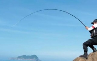 春釣大鯽魚如何選擇釣位，早春可在回水灣作釣