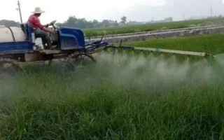 對蔬菜噴施樂果要過多久才能吃，至少要等待7天左右
