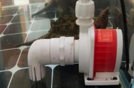 魚缸水泵老是吸住小魚怎么辦，需固定管路
