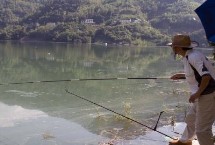 釣鯉魚用什么魚漂，可以釣底也可以釣浮