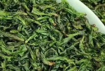 苦丁茶的產(chǎn)地，產(chǎn)地和口感均不同