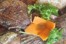海灣扇貝要如何清洗，原產(chǎn)于美國東海岸