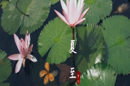 夏至要吃些什么，部分地方會進(jìn)行祭祖大典