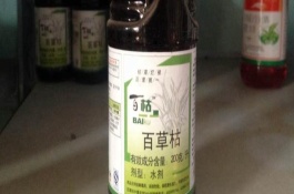 使用百草枯的注意事項(xiàng)，在不同作物帶上的使用方法不同