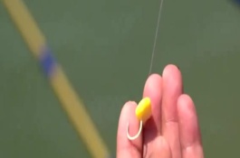 玉米釣魚什么季節(jié)最好，取決于魚種、釣場、天氣