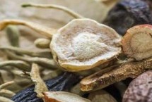 種植藥材怎么找銷路，具有成功案例但只是少數(shù)情況