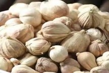 豆蔻的特點(diǎn)，是生活中常見(jiàn)的一種調(diào)料