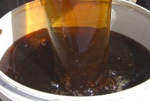 土蜂蜜由哪種蜜蜂生產(chǎn)，產(chǎn)于我國(guó)北方地區(qū)