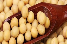 中聯(lián)豆2041大豆栽培技術(shù)要點(diǎn)，低肥力地塊密度2.2萬(wàn)株/畝
