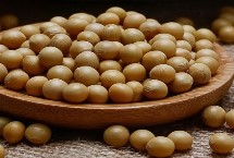 龍達(dá)157大豆栽培技術(shù)要點(diǎn)，高肥力地塊2萬株/畝