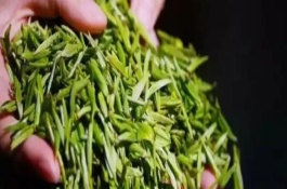 綠茶是不是發(fā)酵茶，是一種綠茶也是我國(guó)的名茶