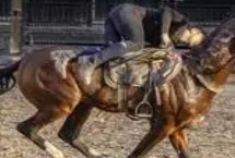 汗血寶馬介紹，其祖先是生長在戈壁地帶的野馬