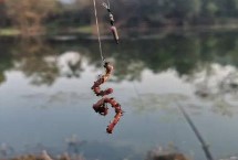 用蚯蚓釣魚(yú)時(shí)應(yīng)該如何調(diào)漂，可采用加鉛、找底、剪鉛等方式