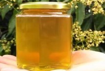 荔枝蜂蜜的真假鑒別，一般30-50元一斤