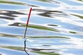 釣鯉魚用什么魚漂，根據(jù)魚種和垂釣者的喜愛來選擇