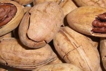 碧根果怎么保存，在我國(guó)主產(chǎn)于云南、廣東、新疆等地方