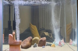魚(yú)缸打氧機(jī)要一直開(kāi)嗎，可以嘗試將氧氣泵放在高一點(diǎn)的位置