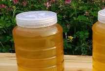 哪種蜂蜜才算比較好，由蜜蜂釀制成熟的自然蜜就是好蜂蜜