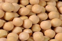 大豆品種主要有哪些，分為青大豆、黃大豆、黑大豆等