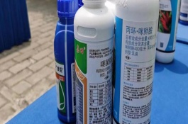 噻菌銅的應用范圍，可防治水稻白葉枯病、柑橘瘡痂病等細菌性病害