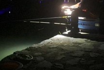 秋天夜釣比白天好釣嗎，取決于魚(yú)情、釣法、環(huán)境