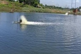 魚(yú)塘改底多久一次，一般1-3個(gè)月改底一次
