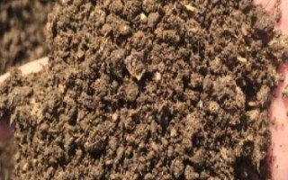 生物有機肥和化肥的對比，前者本身含有多種養(yǎng)分、后者通過微生物的生命活動產(chǎn)生肥效