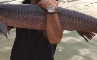 釣青魚適合用什么餌料打窩，要根據(jù)季節(jié)選擇出釣時間