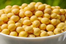 樺豆2大豆栽培技術(shù)要點(diǎn)，普通品種