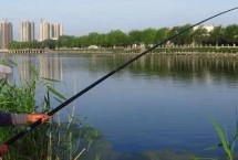 長竿短線釣怎么選釣具，淺水可釣適應(yīng)性強(qiáng)調(diào)漂簡單