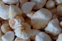 半夏的種植技術(shù)，市場售價(jià)一斤大約需要35-50元左右