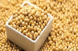 浙鮮豆6號(hào)大豆品種簡(jiǎn)介，浙鮮豆6號(hào)大豆種子簡(jiǎn)介