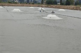 有哪些魚塘增氧機(jī)，為了避免水面結(jié)冰每天可開機(jī)2次左右