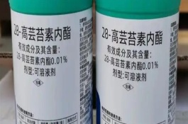 哪種特效藥能解除除草劑的藥害，使用蕓苔素可以緩解、減輕藥害