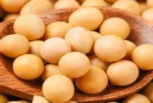 華夏10號(hào)大豆栽培技術(shù)要點(diǎn)，低肥力地塊6萬(wàn)株