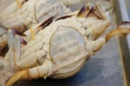 梭子蟹何時最肥美，此時最為肥美