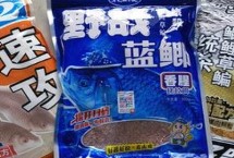 鯽魚餌料有哪十大類型，包括野戰(zhàn)藍(lán)鯽、瘋釣鯽、九一八、四號鯽等種類