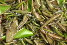 合理密植，選擇在向陽(yáng)的地方種植