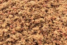 散炮餌料適合野釣嗎，可以但也要分情況調(diào)整使用方法