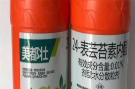 蕓苔素內酯使用注意事項，宜在上午11點左右使用
