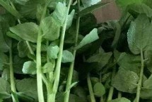 西洋菜的價格，售價因各地的市場而異