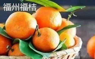 福建省福州市的水果特產有哪些，包括青山龍眼、一都枇杷、福州橄欖等種類